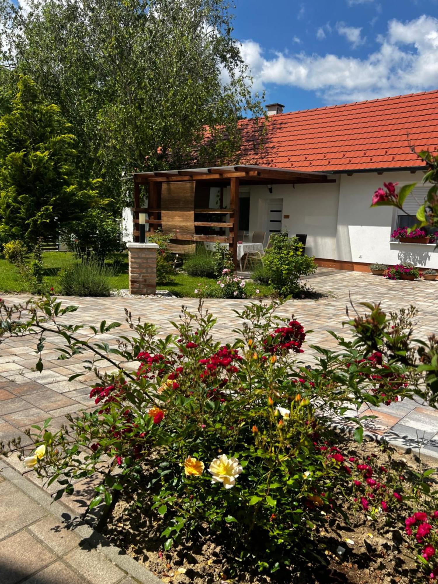 Dreko Panzio & Borbisztro Bed & Breakfast Gyorujbarat Luaran gambar